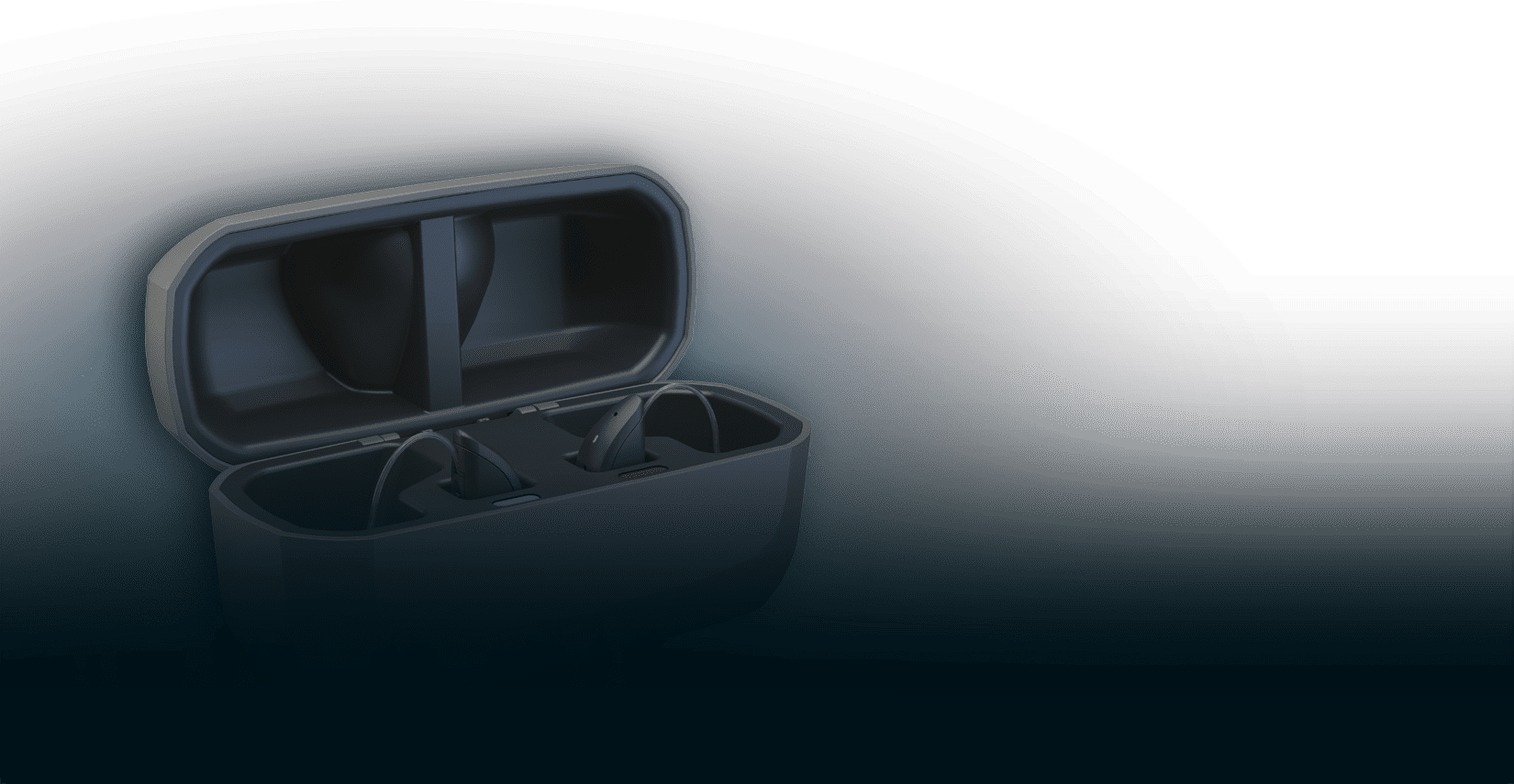 cargador estándar descripción